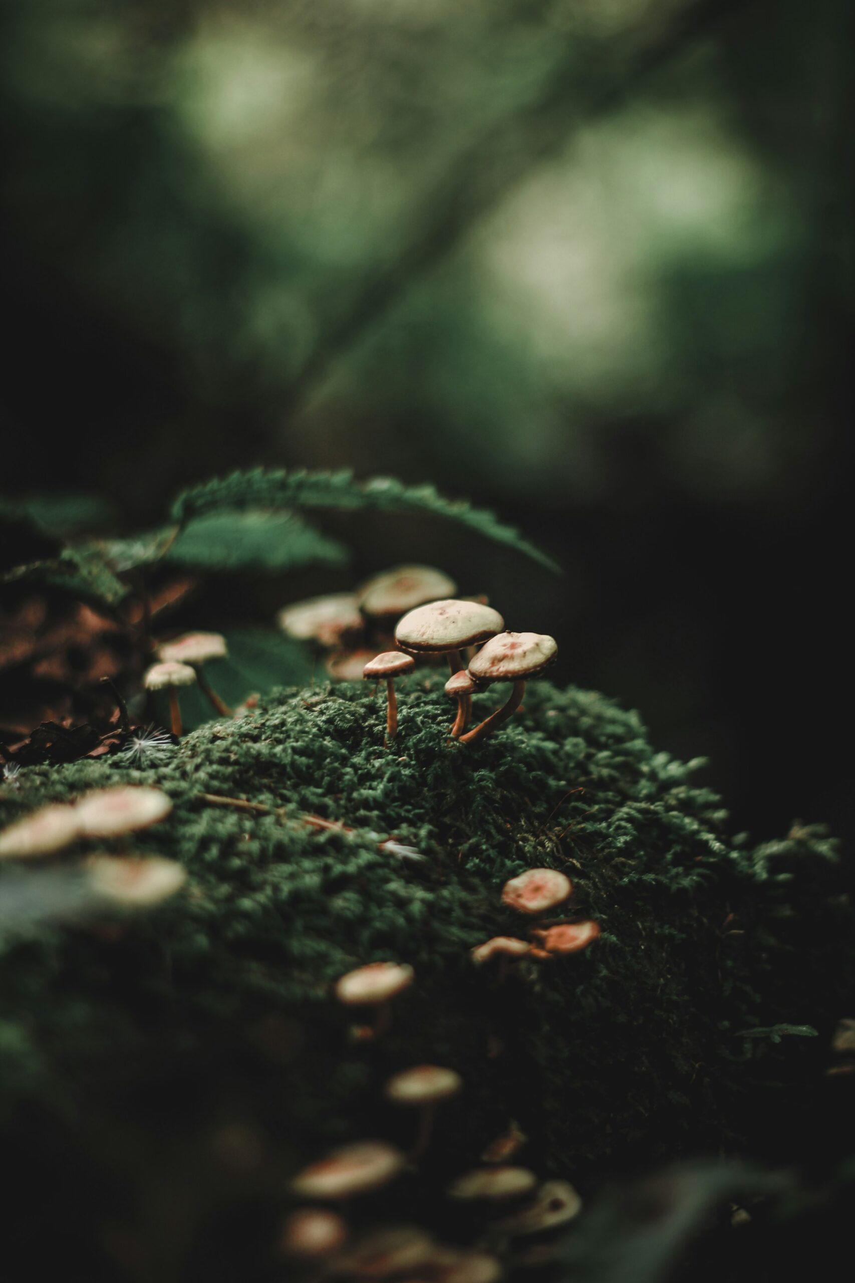 alexx-cooper-VB3cvKx9-Hc-unsplash